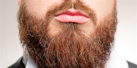 dating app for bearded guys